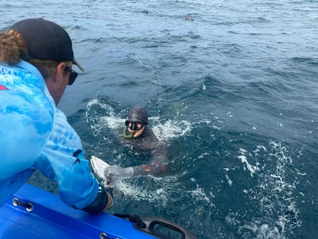 Spearfisher leaning out of boat